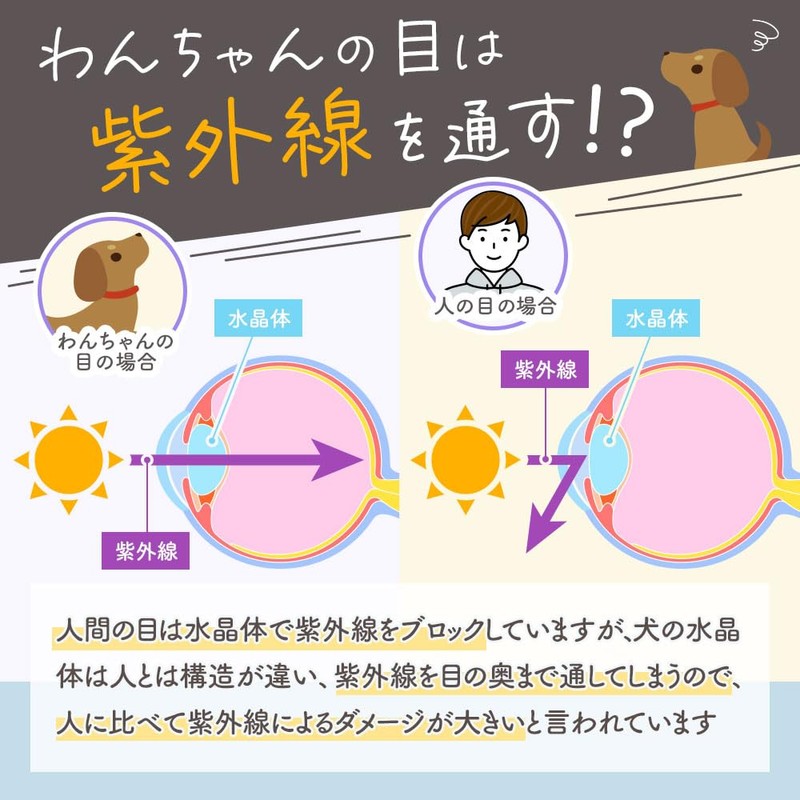 ogaland 犬 目 サプリ アイケア 90粒 約45日分 サプリメント ルテイン ビルベリー