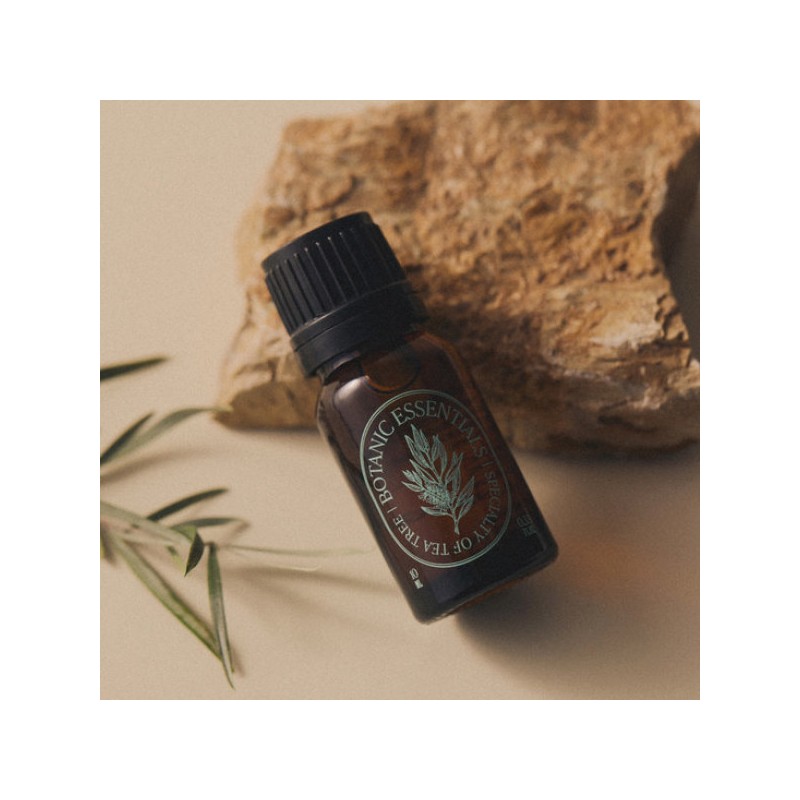 Essent Herb 에센허브 티트리100 오일 10ml Essence Herb Tea Tree