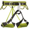 CAMP Alpine Flash Carabiner, Black/Green, XS