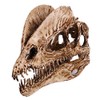 VOANZO Resin Crafts Double Crown Dragon Dinosaur Skull Model, Dinosaur Tooth Skull Fossil, Photography Props Teaching Tool Home Ornament