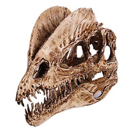 VOANZO Resin Crafts Double Crown Dragon Dinosaur Skull Model, Dinosaur Tooth Skull Fossil, Photography Props Teaching Tool Home Ornament