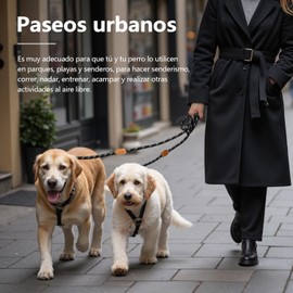 Correa para Perro de 3 Metros, con Diseño Reflectante | Equipada con 2 Ganchos y 3 Mosquetones, Tracción Bidireccional, Adecuada para Perros Medianos y Grandes