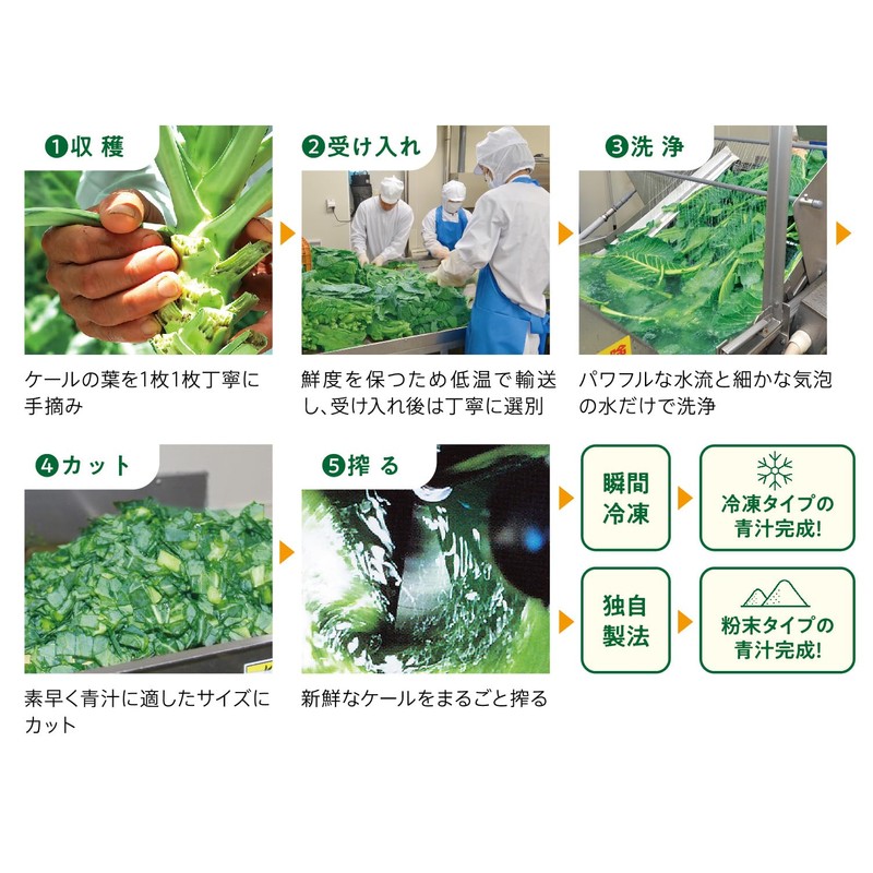 FANCL Fancl Freshly Pressed Kale Green Juice, Instant Freezing, 7