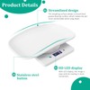 Reptiles Weight Scale,Small Animal Scale with Precision Grams,Multi-Function LED Display