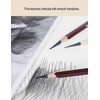 Professional Drawing Charcoal Pencils Set, 10 Piece Art Supplies with
