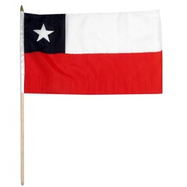 US Flag Store Chile Flag, 12 by 18-Inch