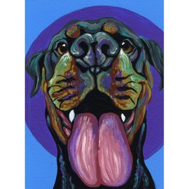 CafePress Rainbow Rottweiler Throw Blanket Super Soft Fleece Plush Throw Blanket, 60"x50"