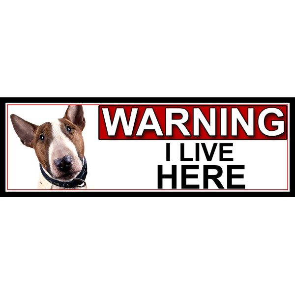 SHAWPRINT Bull Terrier WARNING I LIVE HERE METAL GATE SIGN