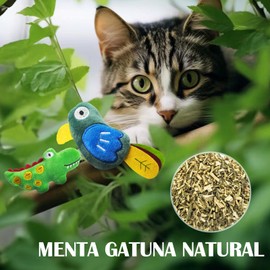 SilaiteWP Juguetes Catnip, Juguetes para Gatos Catnip,Juguetes para Interior,Juguete Interactivo Instalar en la Puerta,Ejercitar Gatos y Gatitos