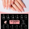 MOTIBACK 480 Piece Nail Tips Set Half Matte Almond &