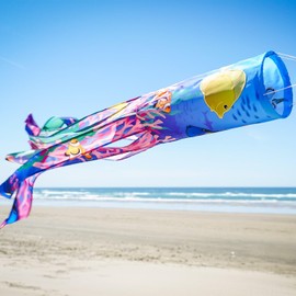 In the Breeze 5247 — Tropical Fish 40-inch Illusion Windsock — Vibrant, Fully Printed Windsock with Embroidered Details