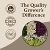 Quality Growers - The Moss Collection Variety Pack - Natural