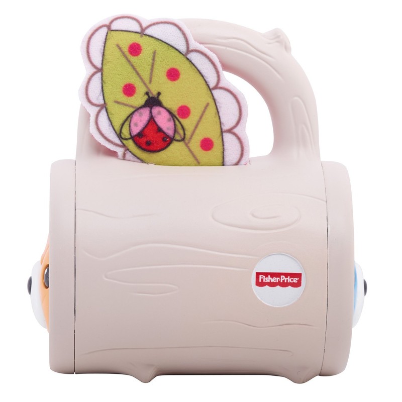 Fisher-Price Hide 'n Peek Rattle