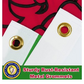 PREMIUM Embroidered Welsh Dragon Double-Sided Flag, 3x5 Feet, 300 Denier, 100% Nylon, Waterproof with Rust-Resistant Brass Grommets, Embroidered Design