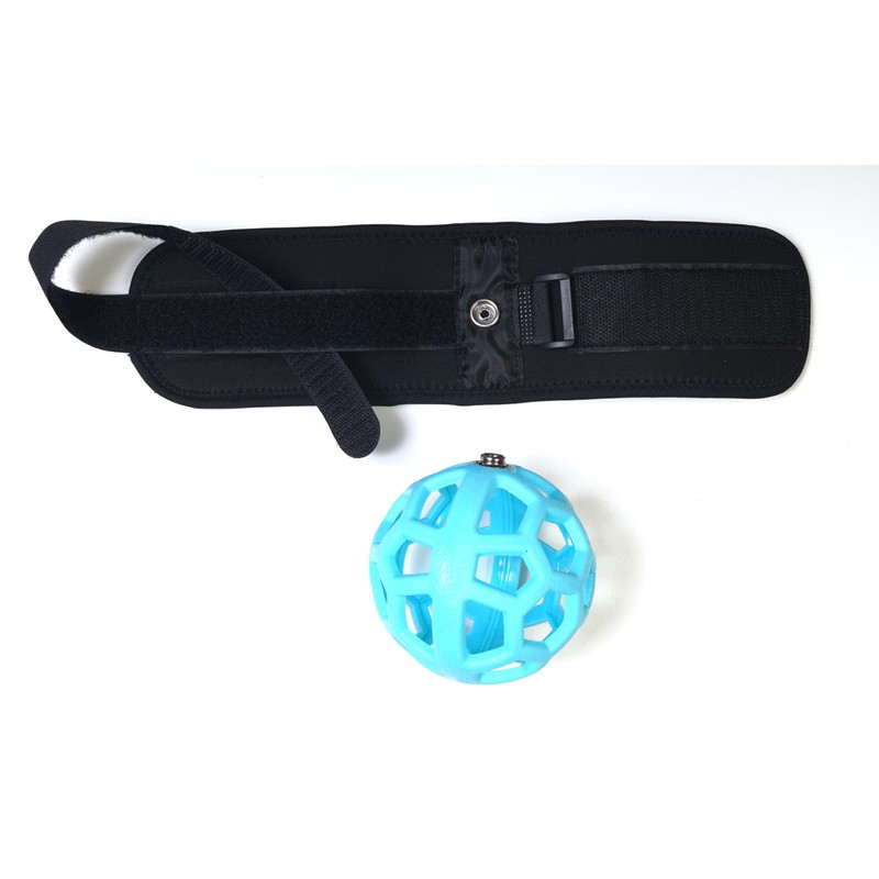 Golf Practice Equipment, Swing, Swing, Chicken Wing, Correction, Blue Ball,