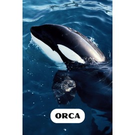 Wondefrul Animals - Orca: Lined notebook for Kids and Adults / Writing and Drawning / 100 pages