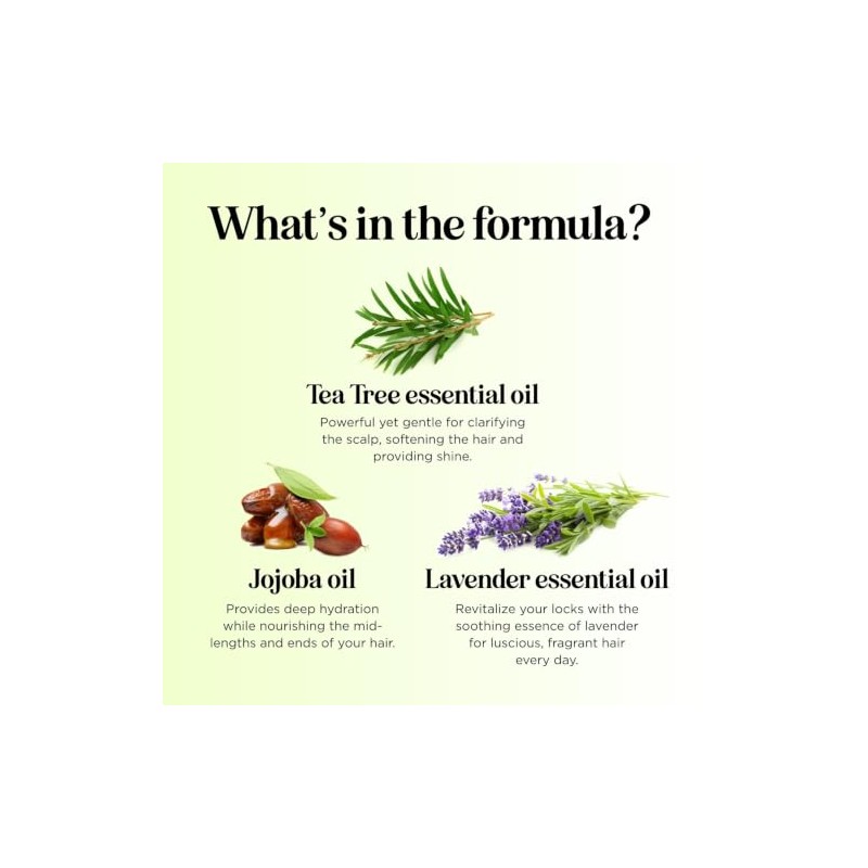 Maple Holistics Tea Tree Oil Conditioner + Color Safe Dandruff