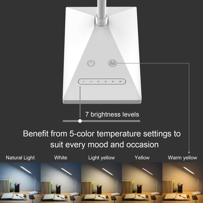 RAOYI LED Desk Lamp, 12W Dimmable Table Lamp Eye-Caring Reading