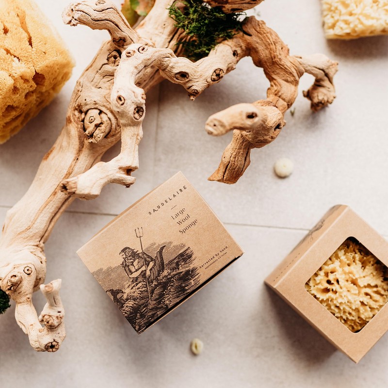 Baudelaire Sea Wool Sponge 5.5" - Natural Sea Sponge for