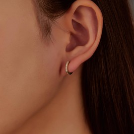 14k Gold Plated Gold Hoop Earrings for Women, Women's Cubic Zirconia Hoop Earring,Trendy Jewelry Gifts for Women, Brass, Cubic Zirconia