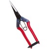 Closest Positive (chikamasa) Buds Cutting Scissor Throwing Straight Blade with Spring purasutexikkuko-texingu Under T – 550