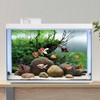 AWERT 24x16 inches Branches Fish Tank Background Seaweed Aquarium Background