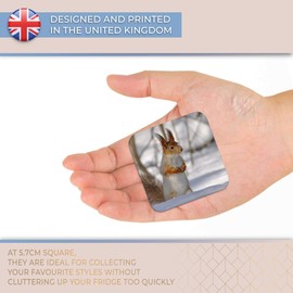 Destination Vinyl ltd Fridge Magnet - Winter Forest Squirrel Nature Wildlife for Office, Cabinet and Whiteboard, Magnetic Stickers, 46451