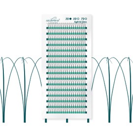 Cashmere Lashes Pre Made Fans 3D C curl 11mm Pre fanned Hybrid Flat Ellipse Individual Eyelash Extensions