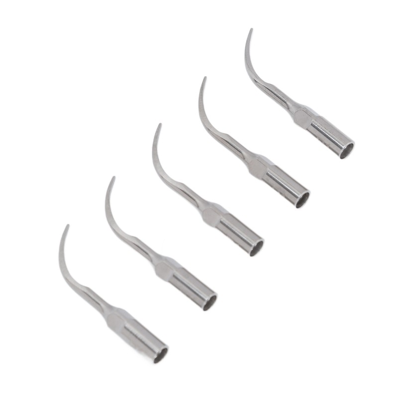 5pcs P1 Dental Clean Machine Tip Stainless Steel Heat Resistance