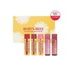 [Burt's Bees] Lovely Lip Balm 5-piece Set / [버츠비] 러블리