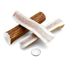 Mountain Dog Chews - Small Split Elk Antler 3 Pack - Elk Antler Dog Chew - Grade A Premium - Organic - Made in USA - No Mess