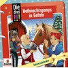 Adventskalender/Weihnachtsponys in Gefahr