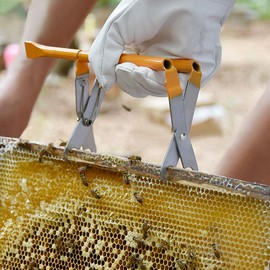 Beehive Frame Capture, Beekeeping Nest Box Clip Stainless Steel Beehive Frame Holder Lifter Catching Handle Tool Nest Box Jig, for Beekeeping Equipment