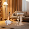 Cat Tree Small Tower with Scratching Post for Indoor, Multifunctional