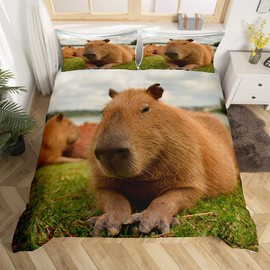 Capybara Comforter Cover Single Size Funny Capybara Animals Duvet Cover for Kids Boys Girls Adults,Cute Capybara Bedding Set 3D Wild Animal Theme Bedroom Decor Soft Cozy Quilt Cover 1 Pillowcase