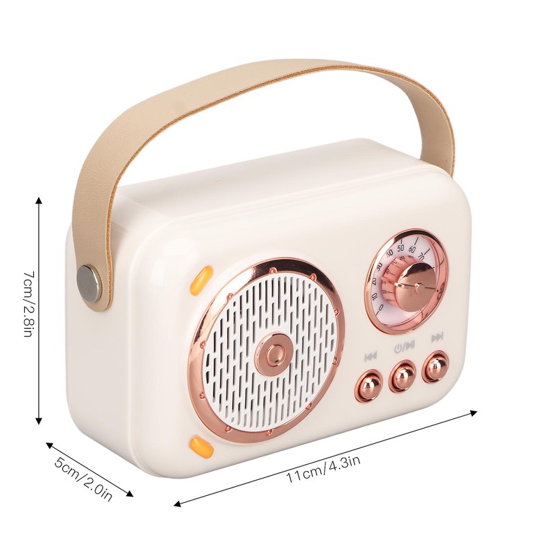 Karaoke Machine Multifunction Enhanced Bass 6 Modes Portable Bluetooth PA