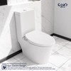 COZY Smart Bidet, Built-In Occupancy Sensor SBWHO1