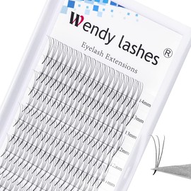 Ready-to-Use Fan Eyelashes, 5D Volume Eyelashes, Ready-to-Use Eyelashes, Fan Eyelash Extensions, 0.07 Mix 8-14 mm, C Curl, Ready Eyelash Fans, Pre-Fanned Eyelashes for Eyelash Extension