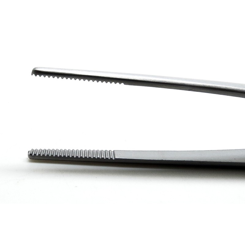 Dressing Thumb Forceps 6 Inch Tissue Tweezer 2cm Serrated Tip