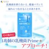 Fine Japan 1 Trillion Lactic Acid Bacteria Prime Lactic Acid