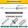 Mywish (400Pcs) 1/8" x 1/4" Blind Pop Rivets Aluminum Grip