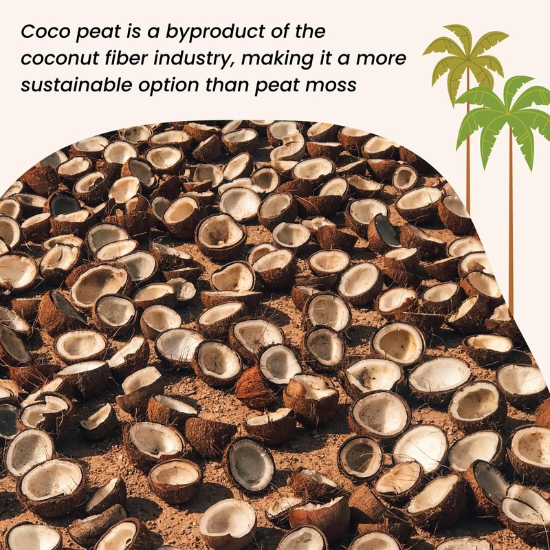 MagJo Naturals 100% Pure Coco Coir (Coco Peat) 11 Pound