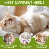 Cepillo Para Perros 3 En 1 , Gatos Vapor Peine