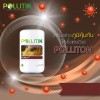 Pollitin 2 x Polliton Nutraceutical Dietary Supplement Graminex Rye Grass