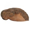 Sloth Sculpture Hand Painted Finish Resin Vivid 22x10x14.5cm Outdoor Sloth