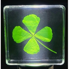 38mm Real Four Leaf Clover Shamrock in Crystal Clear Lucite Resin Specimen St.Patrick's Day "Lucky Leaf" Gift Crafts Collection for Botany Science Education & Desk Ornament Display Small Paperweight
