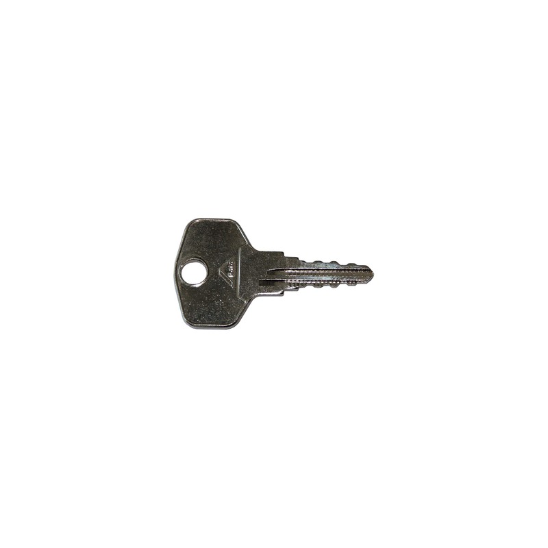 Roto TS4071 Original Key 1G1 Large 44 mm for Lockable