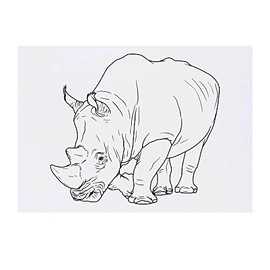 Azeeda 'Nashorn' Temporäres Tattoo - Hautfreundlicher & Ungiftiger Abziehbild · Wasserfest (TO00050510)