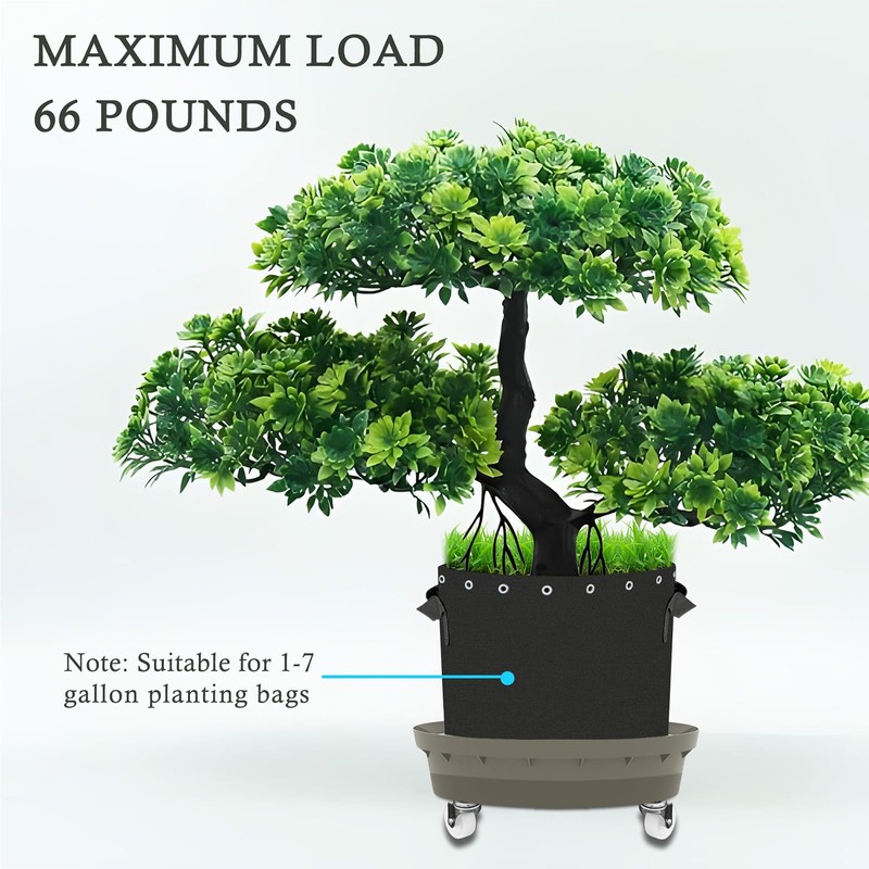 Molgoc Self-Watering Base with Visible Water Level,5-Pack,Keeps Leaves and Flying