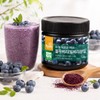 native village [Exclusive] Native Village Wild Blueberry (Bilberry) Powder 2+2